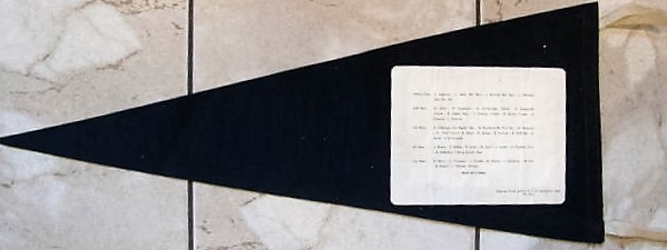 1959 CHICAGO WHITE SOX AMERICAN LEAGUE CHAMPS FULL SIZE TEAM PICTURE PENNANT