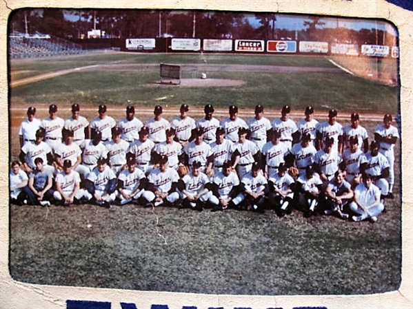 1971 MINNESOTA TWINS TEAM PICTURE FULL SIZE PENNANT 