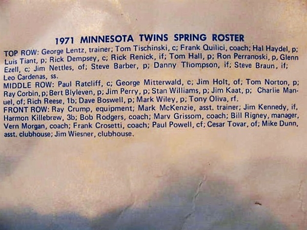 1971 MINNESOTA TWINS TEAM PICTURE FULL SIZE PENNANT 
