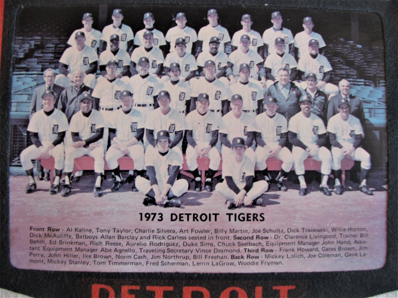 1973 DETROIT TIGERS TEAM PICTURE PENNANT